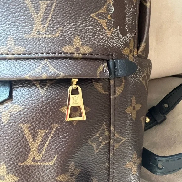 Louis Vuitton PM Palm Springs back back. - Picture 16 of 16